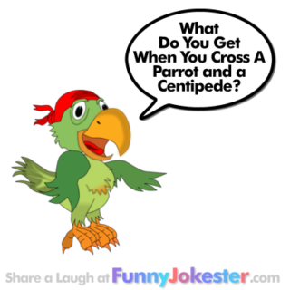 Funny Parrot Joke