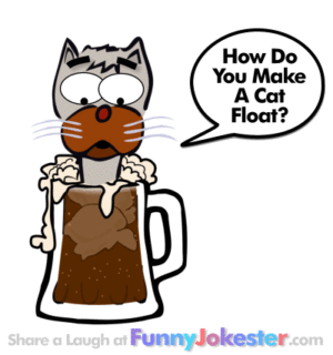Really Funny Cat Joke