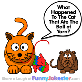 Funny Cat Joke