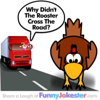 Chicken Cross The Road Joke! Funny Farm Jokes