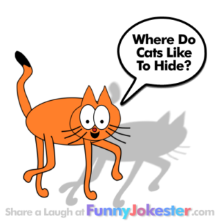 Funny Cat Joke