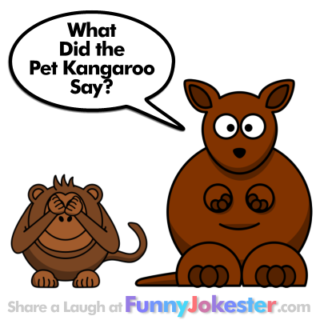 Funny Kangaroo Joke