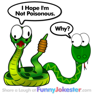 Funny Snake Joke