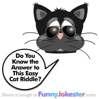 Easy Cat Riddle