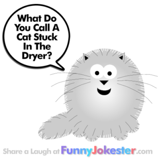 Funny Cat Joke for Kids with Cartoon!