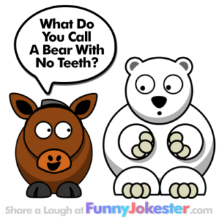 Funny Bear Joke NEW!