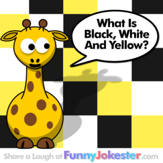 Funny Colors Joke! White, Yellow, Black