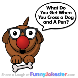 Funny Dog Joke for Kids!