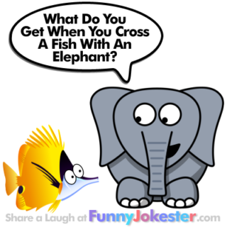 Funny Elephant Joke