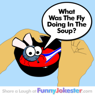 Funny Fly In Soup Joke