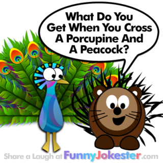 Funny Peacock Joke