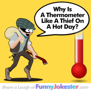 Funny Thief Joke