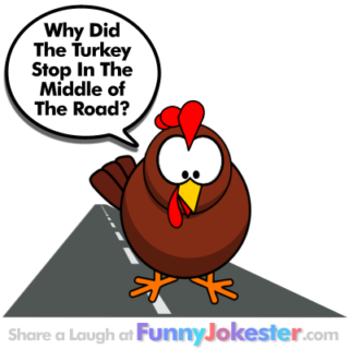 Funny Turkey In The Road Joke!