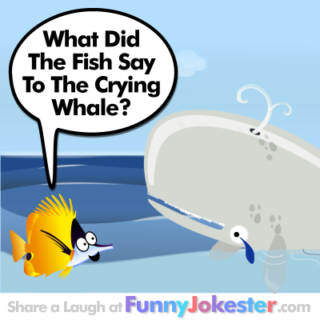Funny Whale Joke