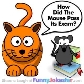 New Mouse Joke for Kids