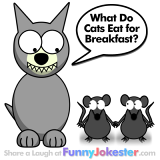 New Funny Cat Joke