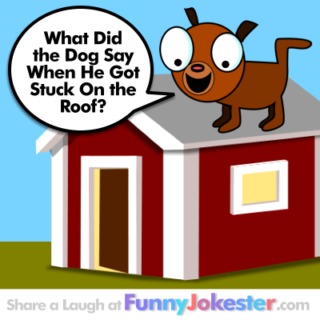 The Original Funny Dog Joke