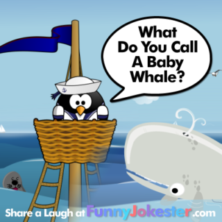 Baby Whale Joke