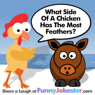 Chicken Feathers Joke
