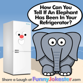Elephant Joke