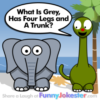 Funny Animal Joke