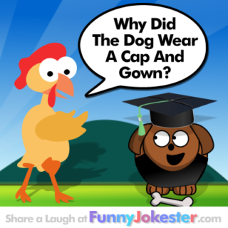 Funny Dog Joke