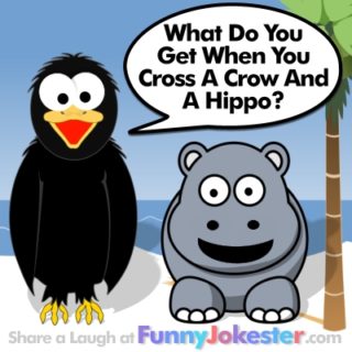 Funny Hippo Joke